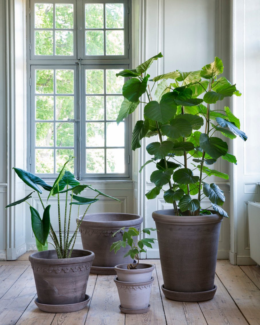 files/BERGS-POTTER_RAW_LARGE_NOGR_FLORA_KOBENHAVNER_50_60_70_8E0A2258_marienlyst_TBH.jpg